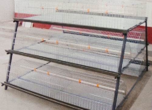 肉鸡阶梯式养殖设备